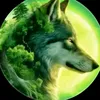 nikolas.dnz