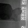rfhsantox