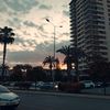 serea_seria16