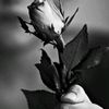 ilianamend