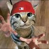 zill_666_