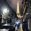 Pino_PM