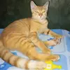 entahlahw3
