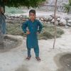 sharef.khan91