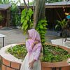 isna.oktavi