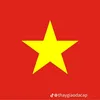 hong.th132