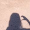 user7876055681661