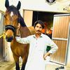 user8780455845698malng