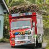 ragasamania_indonesia