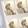dinn_790