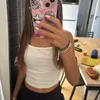 ananas_1338