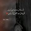shayanali8933