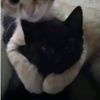 .anderf_