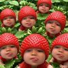 nizz_525