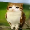 verycreatavename