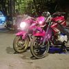 wong.pusat6086