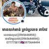 ចាន់ ថា 0965644494