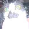 temmie_shophing