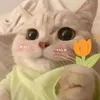 changg_1212