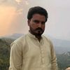 aqibgillani9311