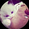 arinn_891