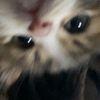 velvetech0_