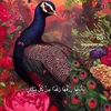 bushra.alqaisi7