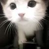 zxcaaxxxx