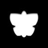 butterfly_studio8