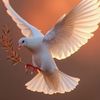 user243230402