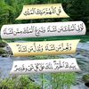 963947519002.hmmuod
