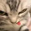 hieeudux