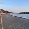 angyy455