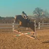jk_equestrian0825