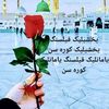 شهزاده مزاری گک