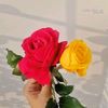 user1016201026147