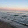 jasmine_hdj