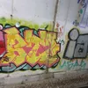 sofi_ovd0