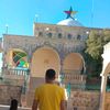 anas.waled24