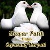 cahaya18390