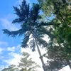 onongen