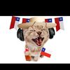colocolo5780