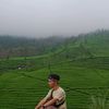 ariefdwiwibowo6