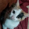 ashley._0105