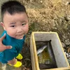 anhthao336