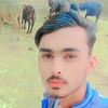 ghaziabbas7280