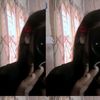 tayeba2655