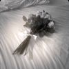 _adeli_41