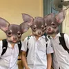 lenamhaidz28