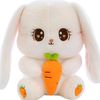 bunni153